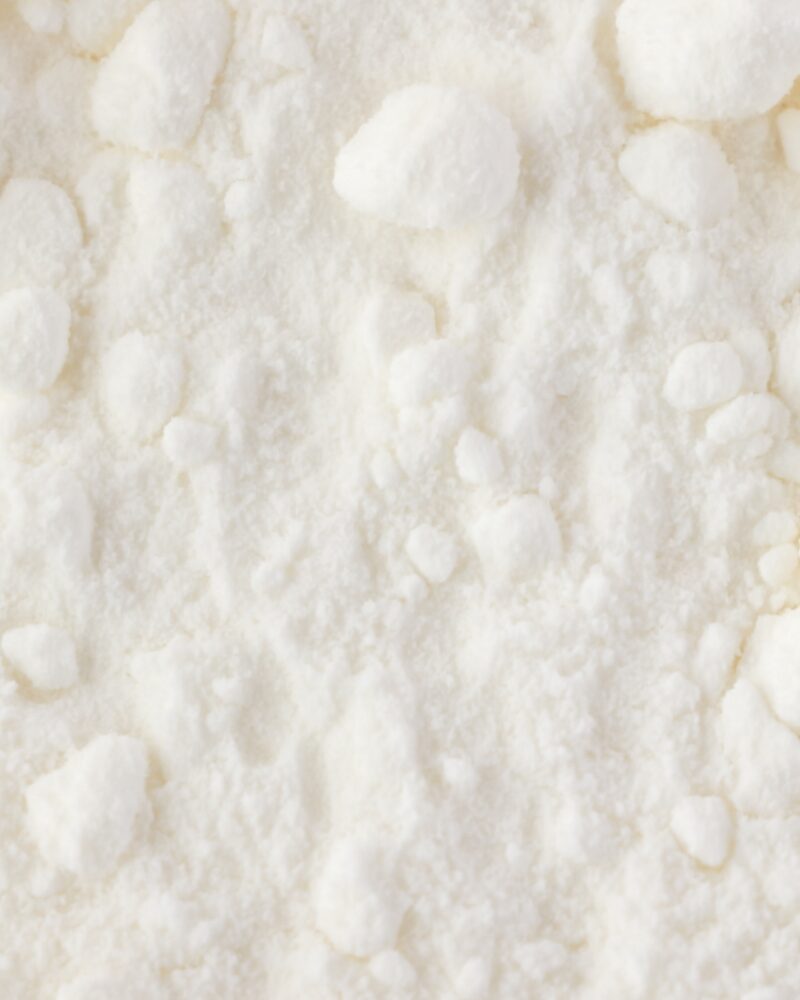 organic coconut milk powder